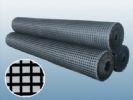 Geogrid